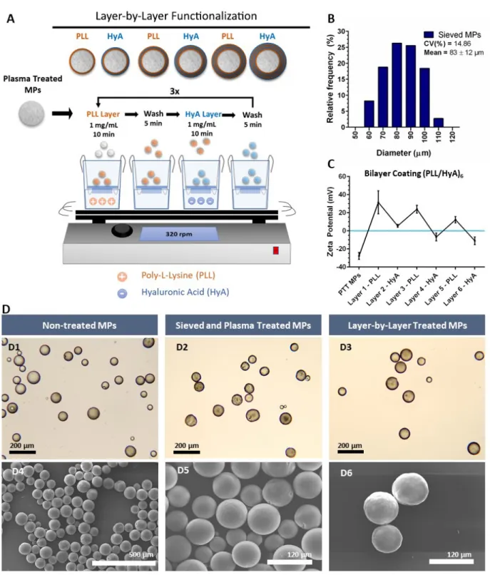 Figure 2.  Microparticles production and HyA biofunctionalization.  (A) Schematic representation of layer-by-layer (LbL)- (LbL)-assisted   microparticles   biofunctionalization