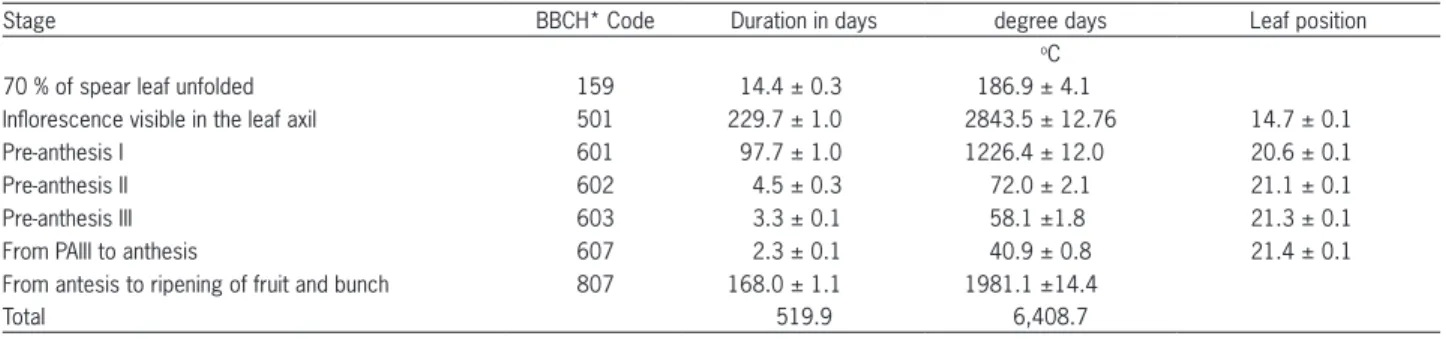 Table 1 – Stages, codes and duration in days and degree-days of the phenology stages spear leaf unfolded, inflorescence emergence, pre- pre-anthesis I, II, III, pre-anthesis and ripening of fruit and bunch in the interspecific oil palm hybrid O × G.