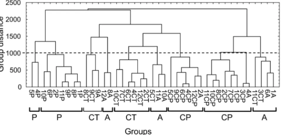 Figure 6 – Dendrogram resulting from cluster analysis when using the simulated MAPSAR image, with the VV-HV-HH polarization combination