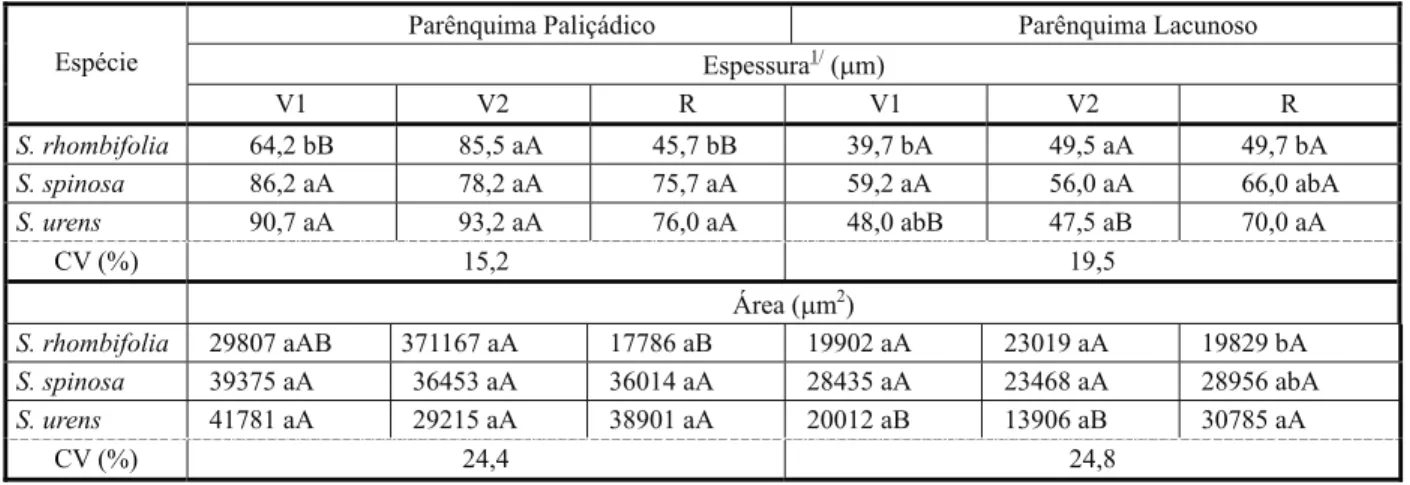 Tabela 4 - Espessura da epiderme e da parede celular nas superfícies adaxial e abaxial das três espécies do gênero Sida, mensurada em três estádios fenológicos