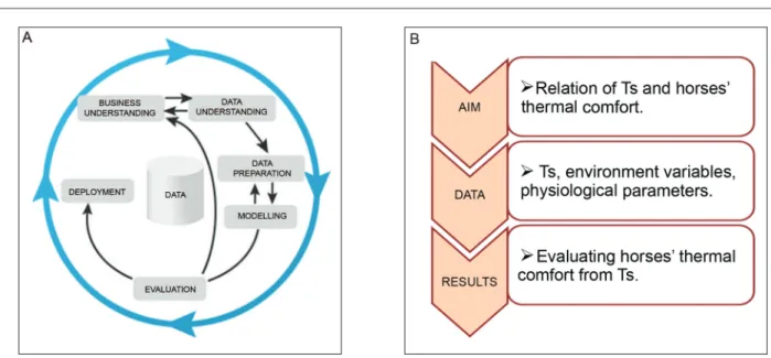 Figure 2 – A) Data mining phases according to CRISP-DM (Chapman  et al., 2000); B) Understanding the aim of the study: converting this  knowledge into a DM problem.