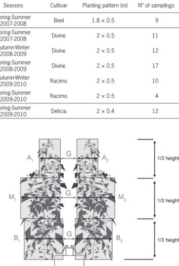 Figure 1 – Measurement of width; B low width (B 1 +B 2 ) (1/6 height),  M middle width (M 1 +M 2 ) (1/2 height), and A high width (A 1 +A 2 ) (5/6  height).
