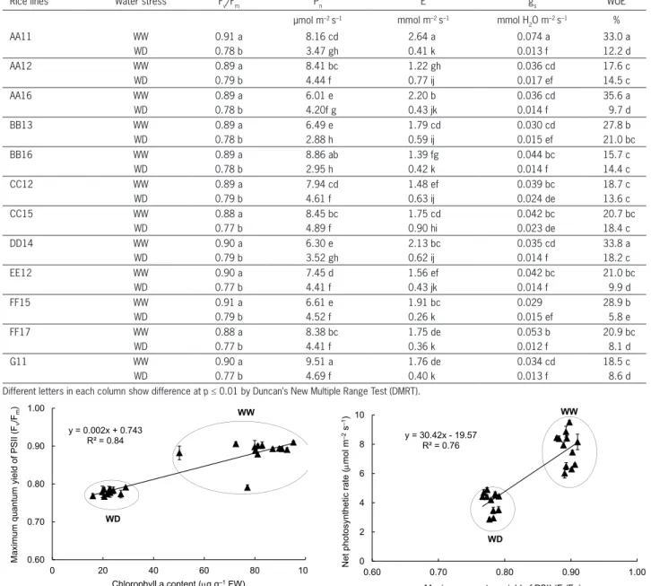 Figure 3 –Maximum quantum yield of PSII (F v /F m ) due to chlorophyll a  content in mutant rice genotypes grown under well-watered (WW)  and water deficit stress (WD) for 14 days