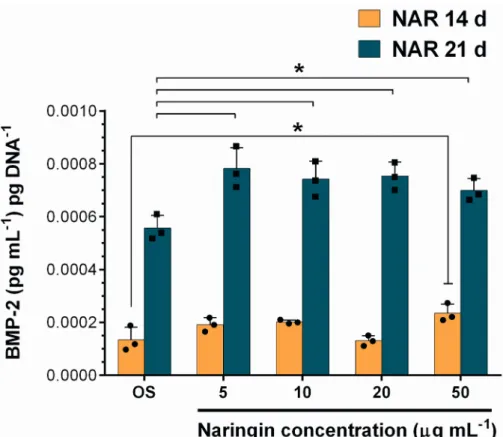 Figure 5. Naringin-induced BMP-2 secretion in hASCs at 14 and 21 days, after incubation with OS-Dex diffentiation medium (OS) control group and with Naringin doses