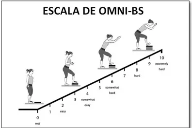 Figura 1: Escala de OMNI-BS 