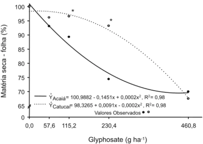 Figura 11 - Porcentagem de matéria seca acumulada nas folhas de plantas de café submetidas a doses crescentes de glyphosate em deriva simulada.