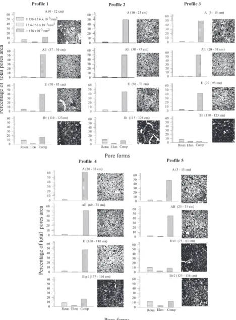 Figure 4 – Rate of the total area occupied by pores, based on the size and shape (R: rounded; E: elongated; I: irregular), obtained from the image  analysis, of soils of the Caetetus Ecological Station (Gália, SP, Brazil).