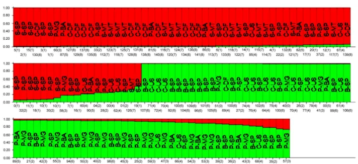 Figure  3  –  Individuals  assignment  test  of Bemisia  tabaci  (K  =  2).  Vertical  bars  represent  individuals