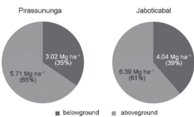 Figure 4 – Amount of C produced by below and aboveground plant  compartments, considering the season of greater root biomass  in areas under plant-cane cycles located in Pirassununga and  Jaboticabal