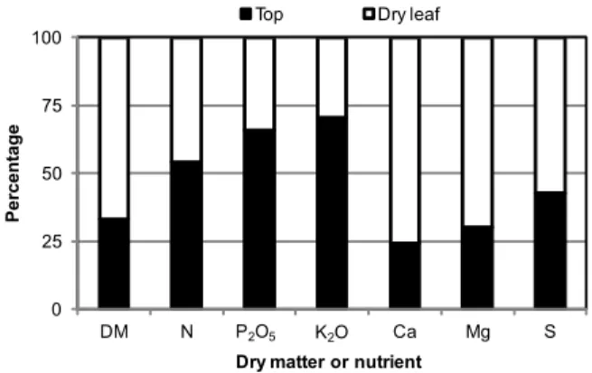 Figure  4  –  Distribution  of  dry  matter  phytomass  and  nutrients  in  sugarcane components (top or dry leaves).