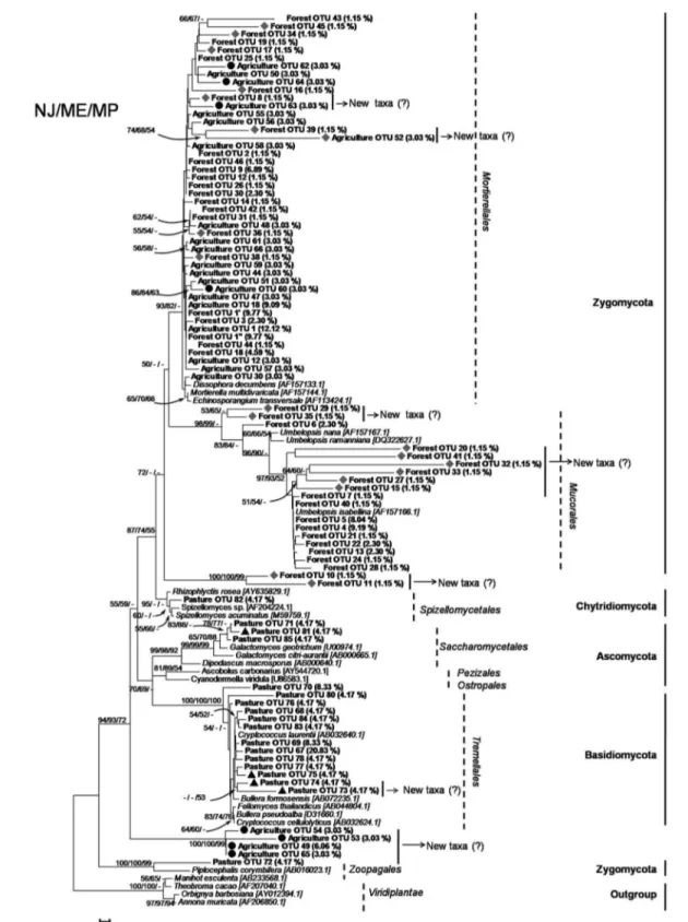 Figure 5 – Topology of neighbor joining of 18S rDNA sequences obtained from soil under three systems of land use (in bold) and representation  rate  obtained  by  the  Megablast  analysis