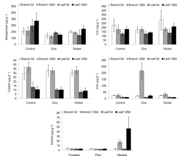 Figure 2 – EDXRF Cu, Fe, Mn, Ni and Zn contents of coffee plants exposed to excess of Zn and Ni, at application and 128 days after metal  application (n = 5).