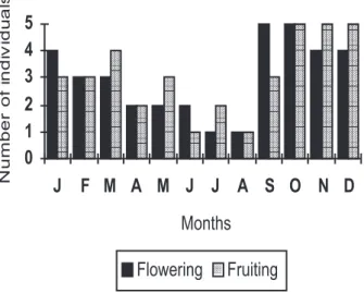 Figure 1 – Reproductive phenology of Muntingia calabura in São Carlos, SP, Brazil. J = January, F = February...