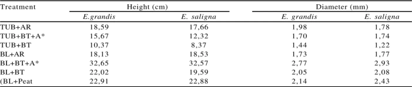 Table 3 – Height and root collar diameter of  90 day Eucalyptus cuttlings, at the lifting time