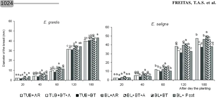 Figure 2 – Collar diameter of eucalyptus plants, at different times after planting, originated of stecklings produced in different containers and substrates