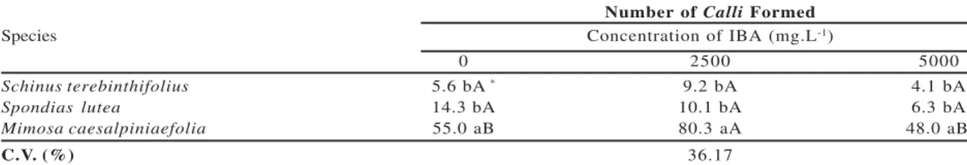 Table 4 – Number of Calli formed in plant species exposed to different concentrations of indolbutiric acid (IBA).