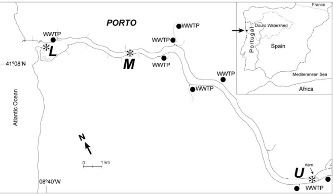 Figure 3.1. The river Douro estuary and location of sampling stations (L – lower, M – middle and U  – upper estuary, WTP – Wastewater Treatment Plant)