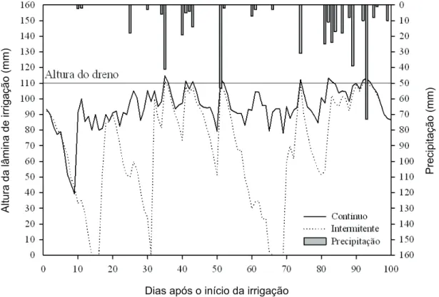 Figura 1 - Altura da lâmina de água dos manejos de irrigação contínuo e intermitente e precipitação do período, em dias após o início da irrigação