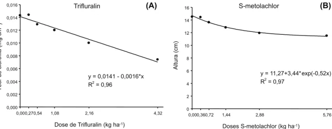 Figura 1 - Teor de clorofila (A) e altura (B) das plantas de feijão aos 28 DAS, em doses crescentes de trifluralin e S-metolachlor
