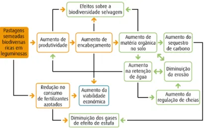 Fig. 4 - Vantagens ambientais das pastagens biodiversas  (Fonte: Teixeira e Domingos, s/d: 8) 