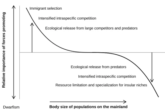 Fig.  2  –  Proposed  model  of  selective  pressures  acting  on  the  body  size  of  insular  animals,  promoting  gigantism  in  smaller  species and dwarfism in larger species, according to the “island rule” (Lomolino, 2005)
