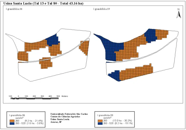 Figura 8 - Mapas de infestação de I. grandifolia em 2006 e 2009.