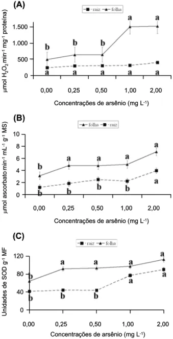 Figura 2 - Atividade das enzimas do sistema antioxidante de plantas de aguapé (Eichhornia crassipes) cultivadas em diferentes concentrações de arsênio