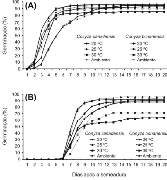Figura 4 - Germinação acumulada (%) de sementes de espécies de  Conyza submetidas a diferentes temperaturas e luminosidade (A: luz desde a montagem do experimento; B: