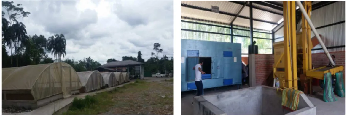 Figure 1.3 Cocoa and coffee collection and processing center in the north Ecuadorian Amazon: 