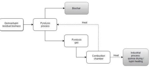 Figure 3.2 Scheme of a pyrolysis process integrated into the quinoa and lupin sector where the excess  thermal energy generated is used to drive the drying process or the hot water production process