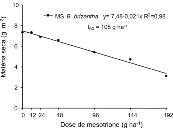 Figura 2 - Acúmulo de matéria seca na parte aérea de plantas de B. brizantha cultivada em integração com milho, aos 28 dias após a aplicação de diferentes doses de mesotrione em  pós-emergência.