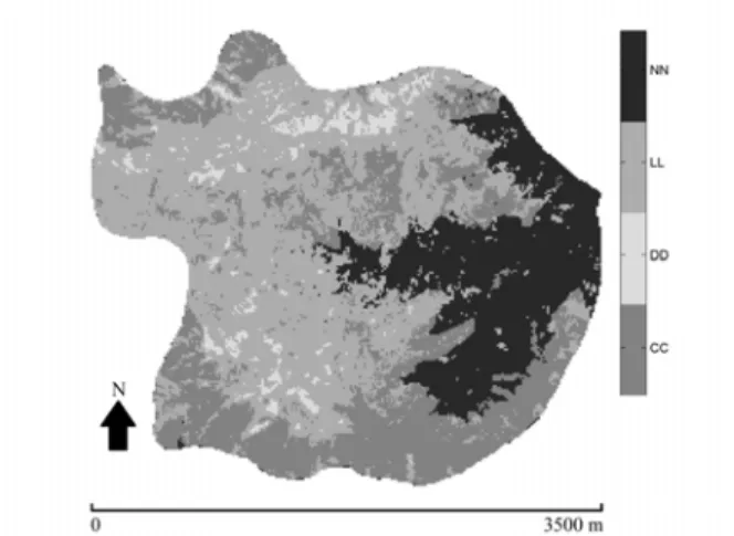Figure 3 – ASTER classification map obtained by applying MLC to dataset 3B (Caption: CC - Cryptomeria japonica; DD – Bare soil and landslide areas; LL – Native scrubland patches; and NN – Pittosporum Woodland).
