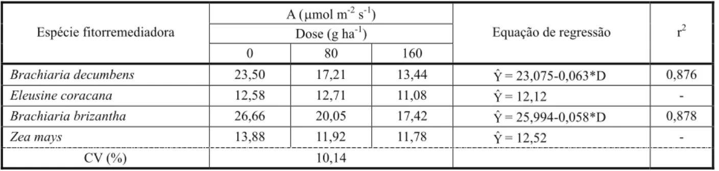 Tabela 6 - Taxa fotossintética (A) de espécies fitorremediadoras, cultivadas por 40 dias em solo tratado ou não com picloram, e as respectivas equações de regressão e coeficientes de determinação