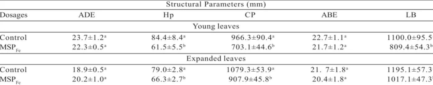 Table 1 – Effect of the dosages of 0 (control) and 2.14 mg.cm -2 .day -1  of iron particulate (MSP Fe ) over the structural parameters of the leaf blade of young leaves (first knot) and totally expanded (fifth knot) of Clusia hilariana plants after 45 cons