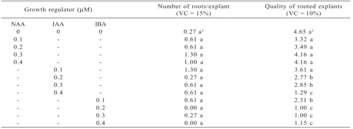 Table 3 – Average number of roots and qualitative analyses of rooted explants of A. verticillata founded in vitro in response to different auxins, 90 days after inoculation