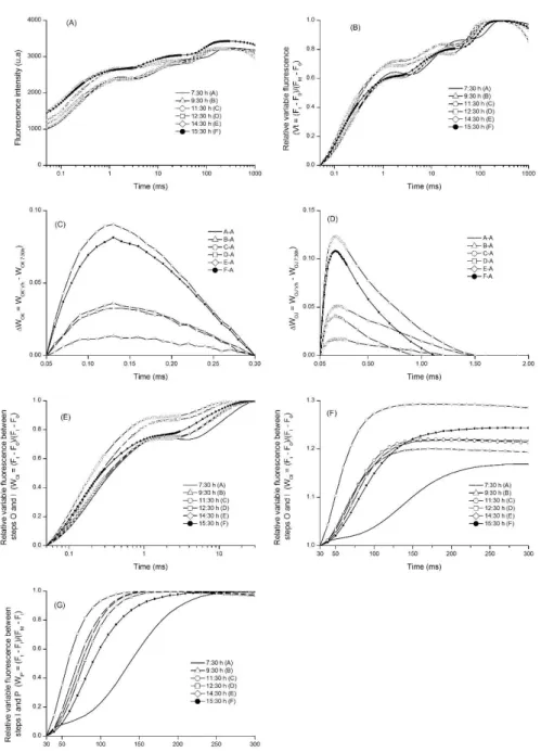 Figure 3 – Evaluation of transient chlorophyll a fluorescence of Gallesia integrifolia leaves performed at one-hour intervals for eight hours