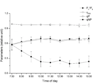 Figura 4  – Fluorescência modulada da clorofila a de plantas de Gallesia integrifolia em intervalos de uma hora, durante o período de oito horas