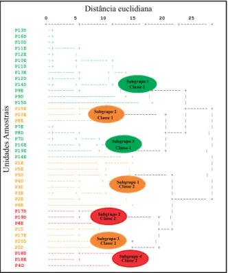 Figure 2 – Sampling unities P19E (a) and P19D (b), located in the downstream portion of the watershed of Arroio Val Buia.