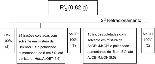 Figura 3 - Esquema demonstrando as polaridades dos solventes ou mistura destes e o número de frações coletadas no segundo refracionamento de reunião de frações coletadas da primeira coluna.