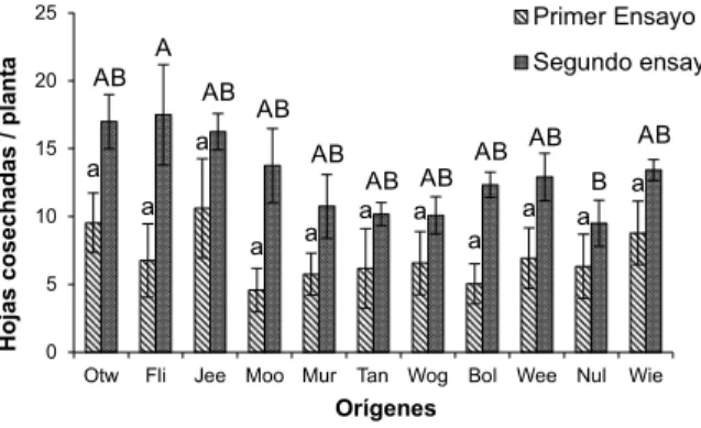 Figura 1 –  Número de folhas por planta (média ± EP) de diferentes procedências de Eucalyptus globulus cortados por Acromyrmex lundi por duas temporadas (verão-outono)
