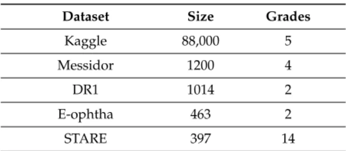 Table 2. Diabetic retinopathy (DR) datasets description.