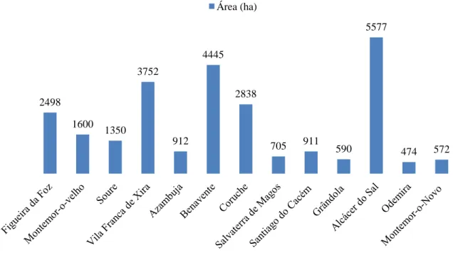 Figura  3  –  Área  de  produção  de  arroz  em  2011  e  nos  principais  concelhos  dos  distritos  de  Coimbra,  Montemor-o-Velho, Lisboa, Santarém e Setúbal