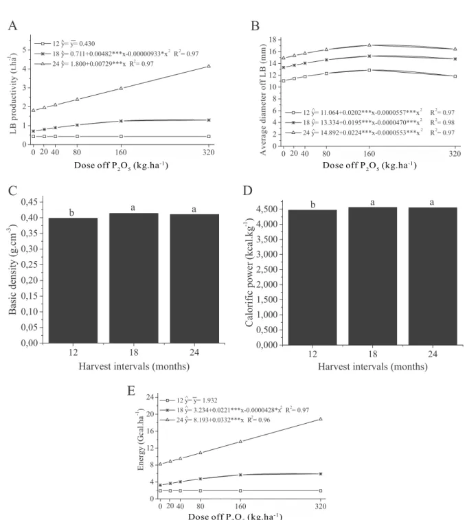 Figure 1 – Yield (A), average diameter (B), wood density (C), calorific power (D) and energy productivity (E) of large branches (LB) of mate plants affected by phosphorus fertilization and harvest intervals