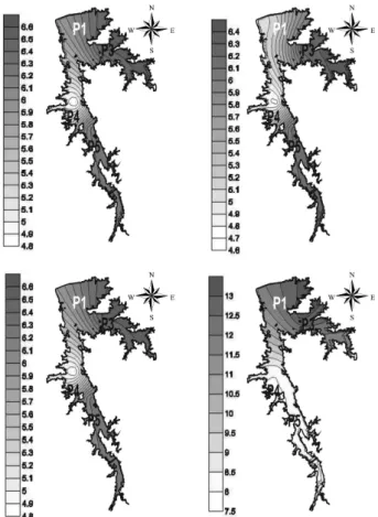 Figure 6 - Variation in Total Phosphorous concentrations in  May (A) and August of 2007 (B) and May (C) and August of  2008 (D) in the Serrote reservoir, Santa Quitéria, Ceará