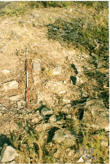 Foto I  -  Aspeto  do sítio  antes de intervencionado, e caracterizado como  necrópole da  Idade do Ferro