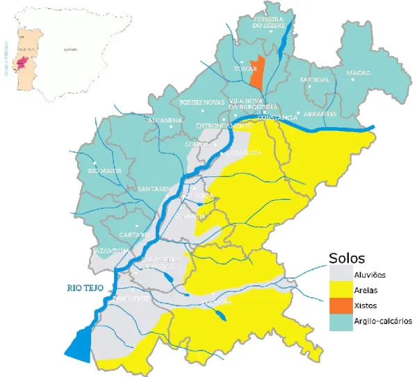 Figura 4. Solos da região do Ribatejo (CVRTejo, 2018). 
