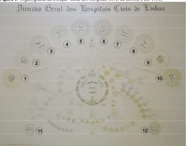 Figura 1: Organograma da Direção-Geral dos Hospitais Civis de Lisboa (Ano 1936) 