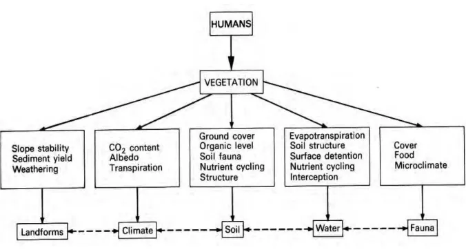 Figura 1.3  – Alguns aspectos das modificações da vegetação induzidas pela actividade humana  (GOUDI E, A