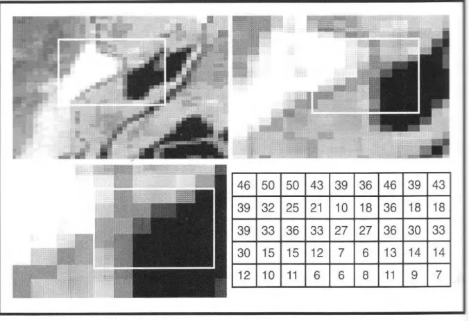 Figura 2.9  – Níveis de cinzento dos pixels, definidos pelos valores numéricos digitais e organização  dos dados numa imagem digital (CHUVI ECO, E