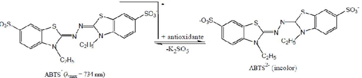 Figura 9 – Princípio do método de determinação da capacidade antioxidante com ABTS. 
